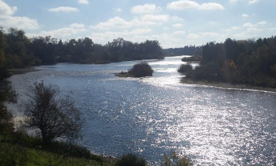 snapshot of the american river